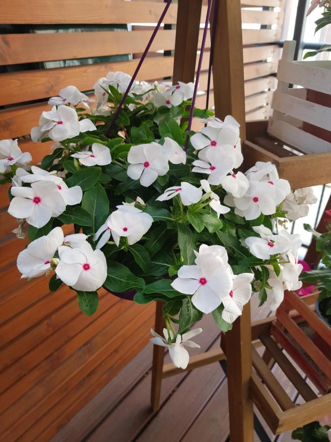 La Terrazza Di Carolina Bed & Breakfast Agrigento Luaran gambar